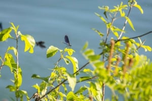 Skadar Lake: Luxury Picnic & Kayaking