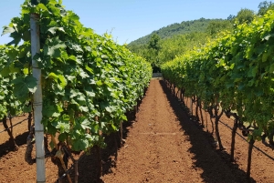 Montenegro: Nature, Locals & Wine Tour