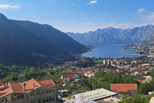 Montenegro: Perast & Kotor - Day Trip from Dubrovnik