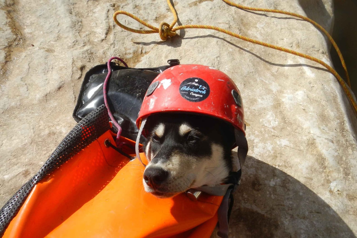 Montenegro: Rikavac and Međurečki Family Canyoning Adventure