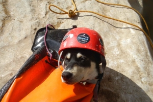 Montenegro: Rikavac and Međurečki Family Canyoning Adventure