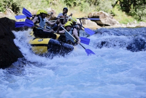 Montenegro: Tara River Whitewater Rafting