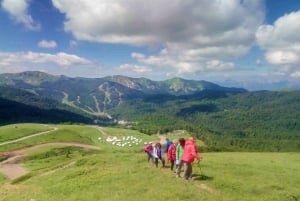 Montenegro: The Ring of Bjelasica – Jeep Safari Private Tour