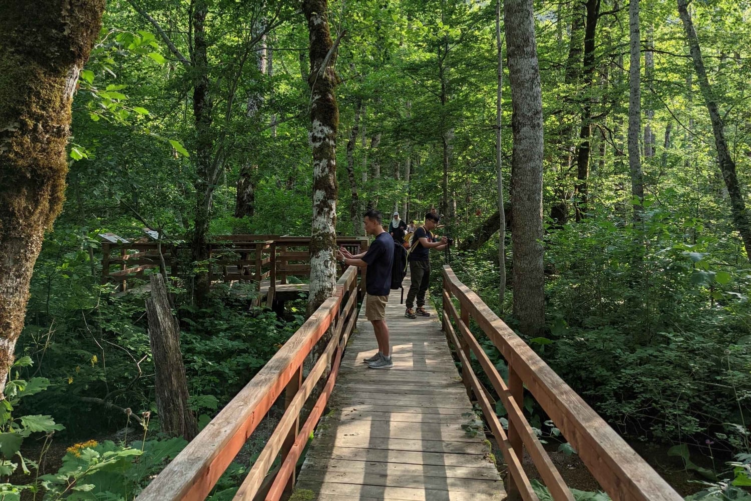 National Park Biogradska Gora Private Tour