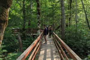 National Park Biogradska Gora Private Tour