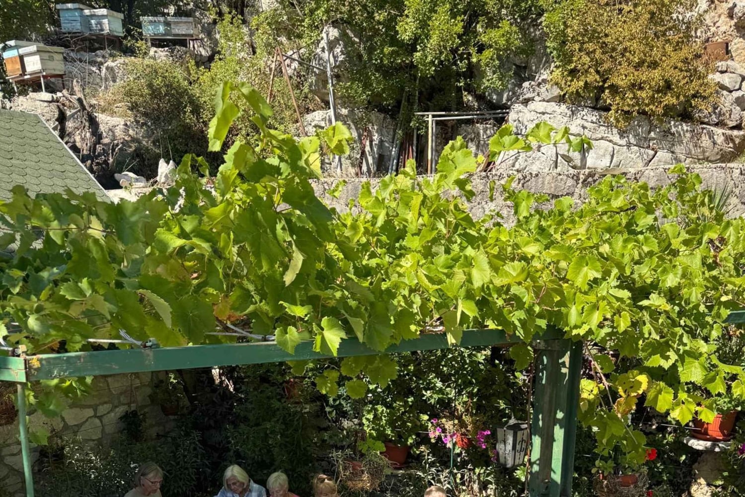 Nikšić: Farm-to-Table Meal with Local Flavors