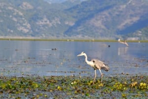 Noah's Ark Skadar Lake tour