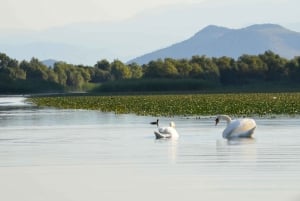 Noah's Ark Skadar Lake tour