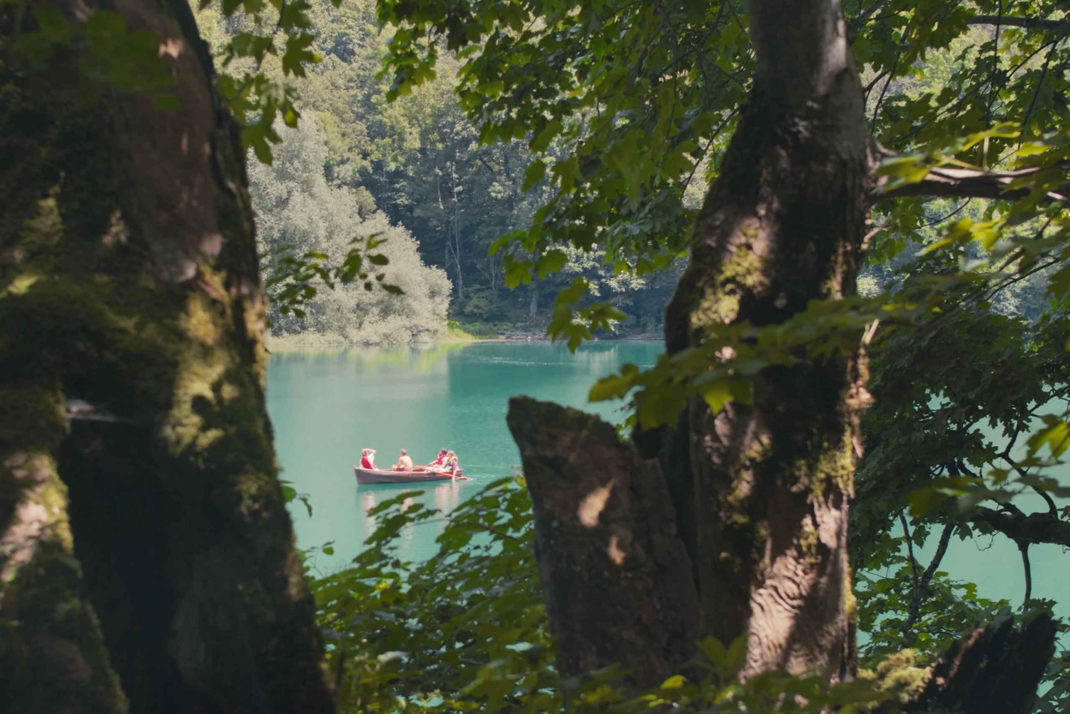 North Montenegro return trip - Biogradska Gora National Park