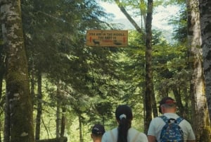 North Montenegro return trip - Biogradska Gora National Park