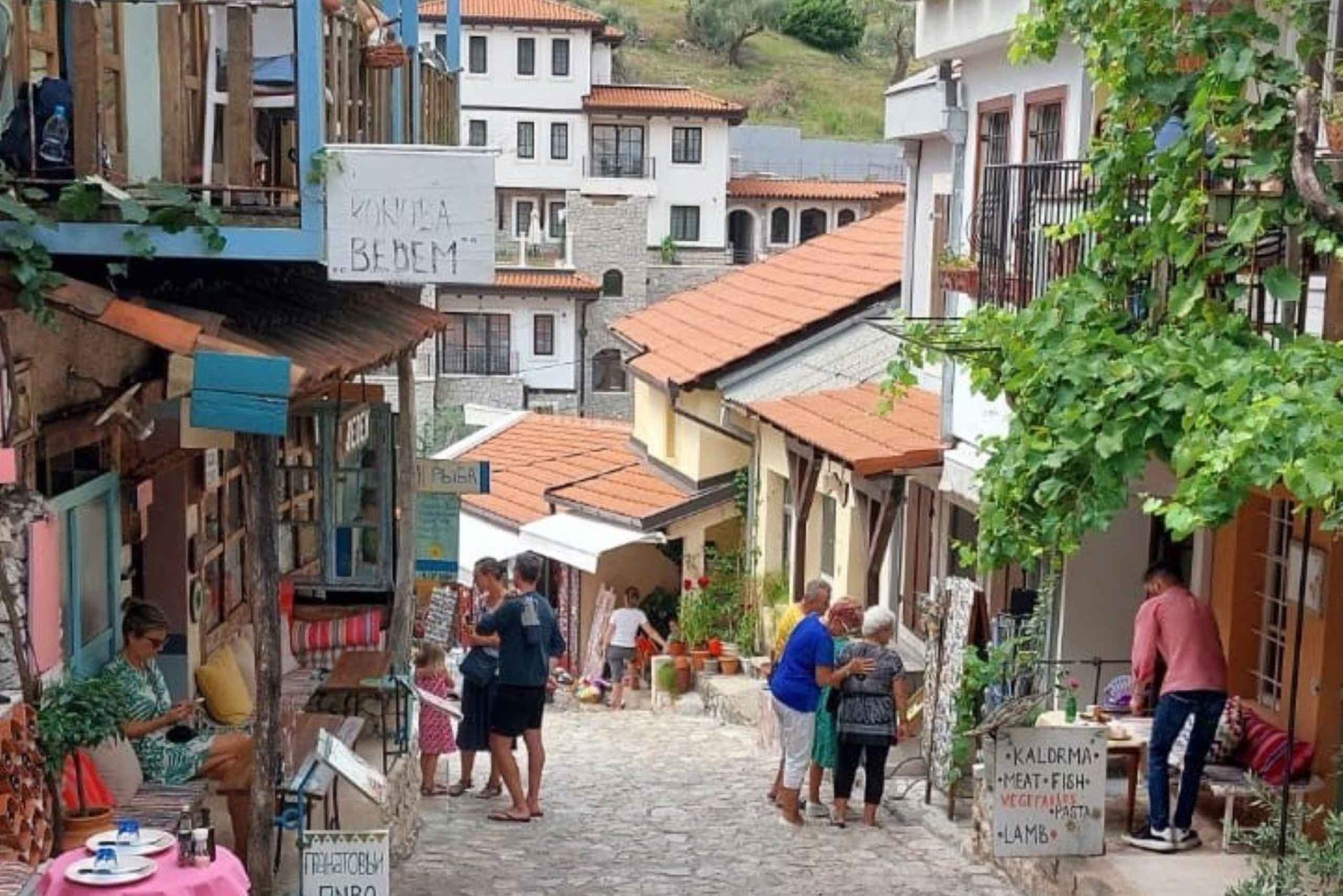 Old Town Bar, Old Olive Tree and the region of olive groves