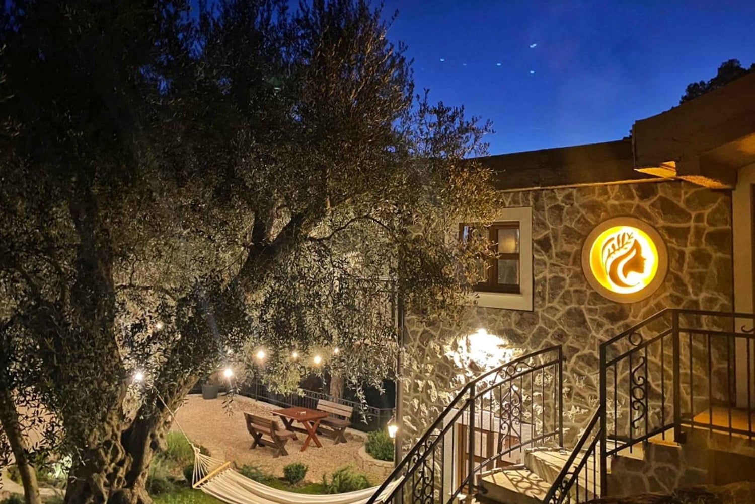 Old Town Bar, Old Olive Tree and the region of olive groves
