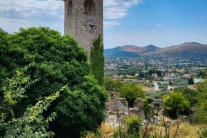 Old Town Bar, Old Olive Tree and the region of olive groves