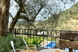 Old Town Bar, Old Olive Tree and the region of olive groves