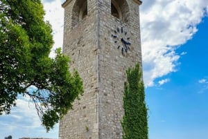 Old Town Bar, Old Olive Tree and the region of olive groves