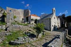 Old Town Bar, Old Olive Tree and the region of olive groves