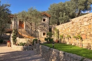 Old Town Bar, Old Olive Tree and the region of olive groves
