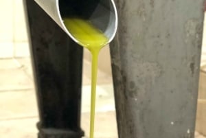 Old Town Bar, Old Olive Tree and the region of olive groves