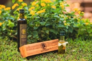 Old Town Bar, Old Olive Tree and the region of olive groves