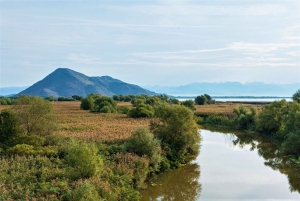 Virpazar: Private Lake Skadar and Pavlova Strana Wine Cruise