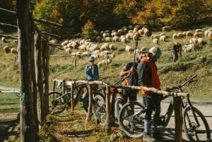 Peak of the Balkans e-Biking Tour