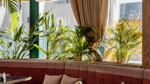 Perla Square Portonovi