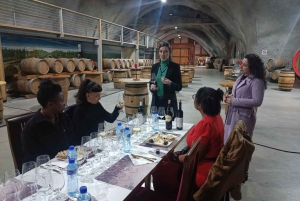 Podgorica Car Trip, Doclea city, Wine tasting, Niagara falls