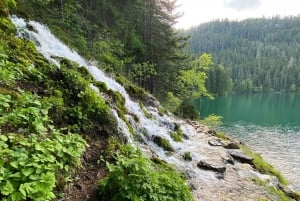 Podgorica: Durmitor National Park Day Trip via Tara Canyon