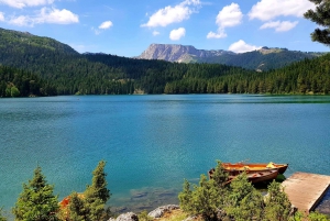 Podgorica: Durmitor National Park Day Trip via Tara Canyon