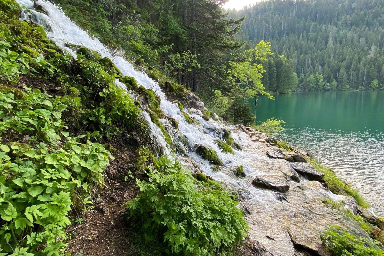 Podgorica: Durmitor National Park- Tara river, bridge & lake