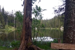 Podgorica: Durmitor National Park- Tara river, bridge & lake