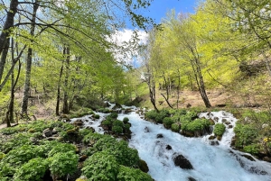 Podgorica: Durmitor National Park- Tara river, bridge & lake