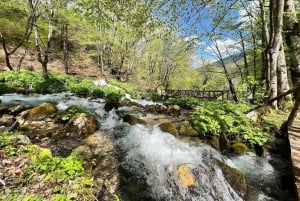 Podgorica: Durmitor National Park- Tara river, bridge & lake
