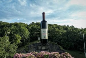 Podgorica: E-Bike Tour with Wine Tasting & Waterfalls