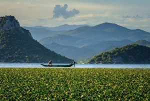 Podgorica: Immersive Wine Tasting Tour