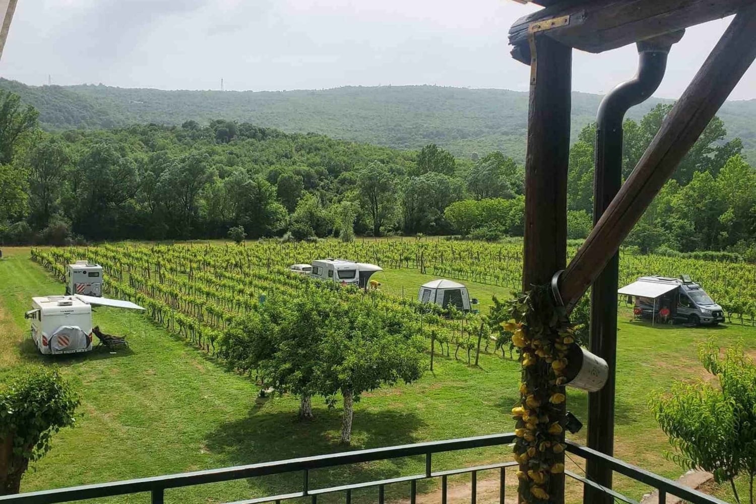 Podgorica: Panoramic Wine Tasting & Snack