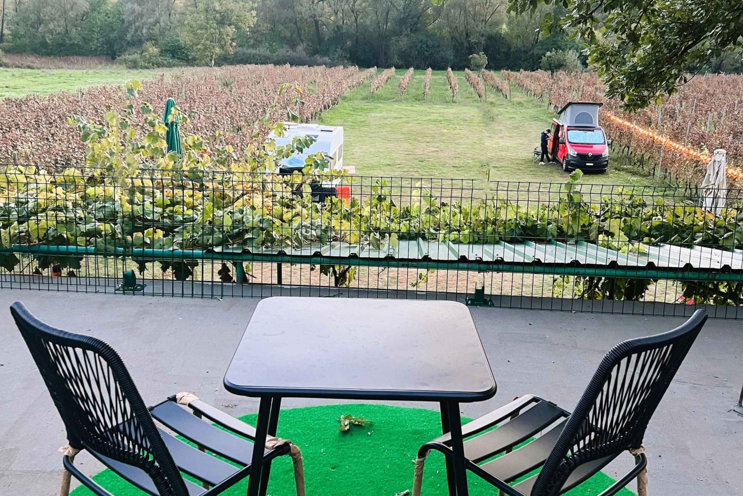 Podgorica: Panoramic Wine Tasting & Snack