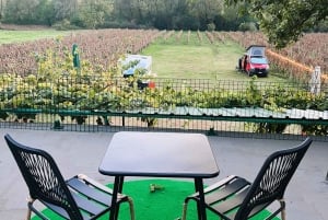 Podgorica: Panoramic Wine Tasting & Snack