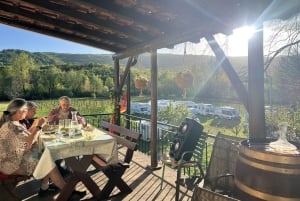 Podgorica: Panoramic Wine Tasting & Snack