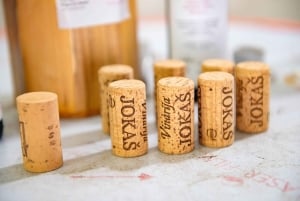 Podgorica: Panoramic Wine Tasting & Snack