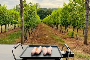 Podgorica: Panoramic Wine Tasting & Snack