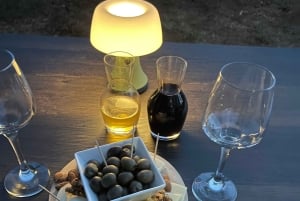 Podgorica: Panoramic Wine Tasting & Snack