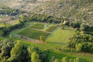 Podgorica: Panoramic Wine Tasting & Snack