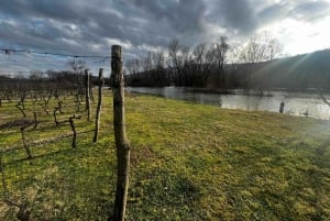 Podgorica: Panoramic Wine Tasting & Snack