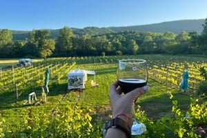 Podgorica: Panoramic Wine Tasting & Snack