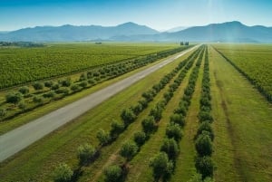 Podgorica Wine Road Private Tour