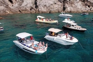 Private boat tour from Dubrovnik/Cavtat to Elafiti islands