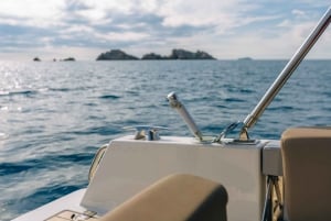 Private boat tour from Dubrovnik/Cavtat to Elafiti islands