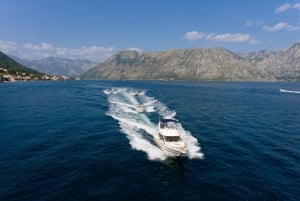 Private boat tour Kotor to Porto Montenegro - Portonovi