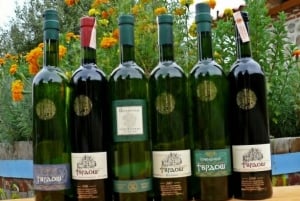 Private Day Trip to Bosnia,Wine,Culture & Local Lunch/Dinner